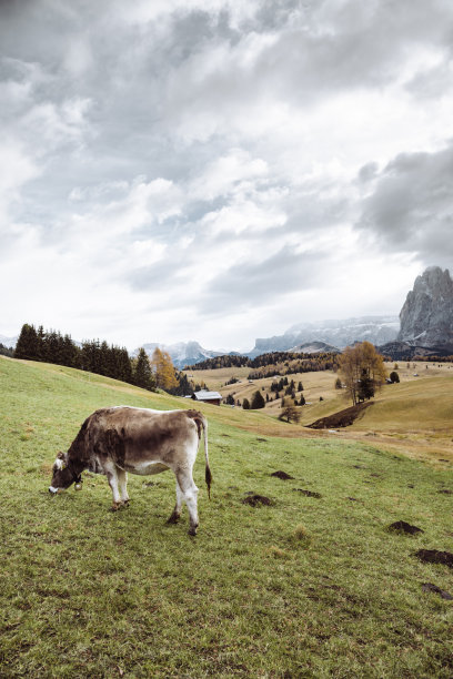tyrol