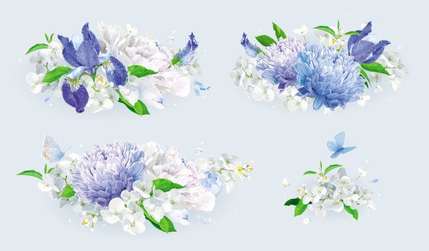 紫苑花束图片大全 紫苑花束设计素材 紫苑花束模板下载 紫苑花束图库 昵图网soso Nipic Com