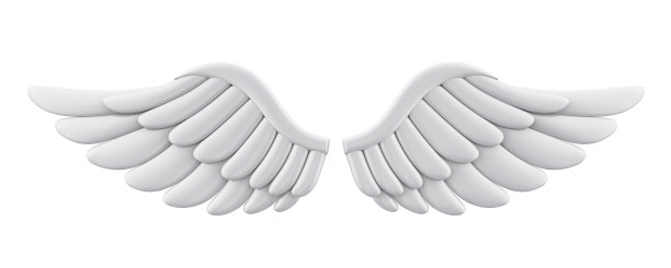 wings