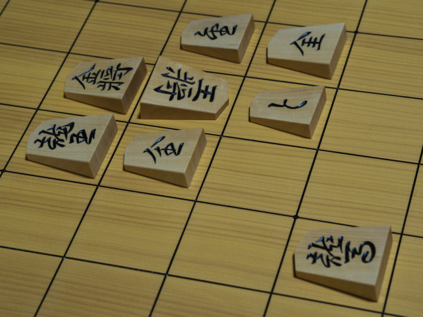 棋盘游戏,摄影,日本文化