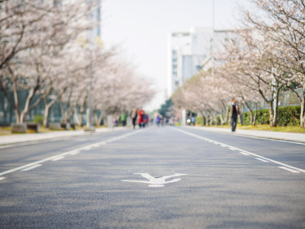 武大樱花