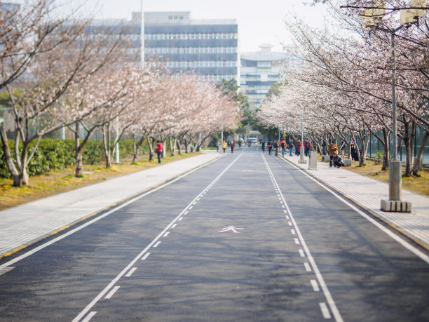 上海高校大学