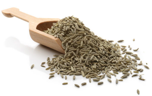 fennel