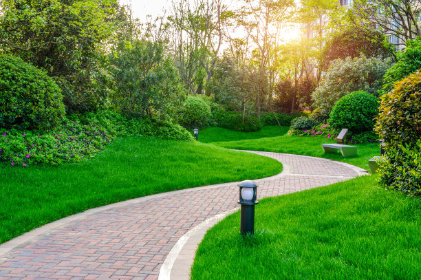 pathway