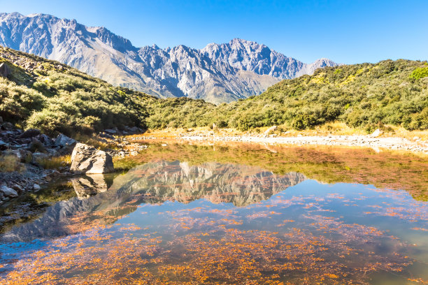 普卡基湖