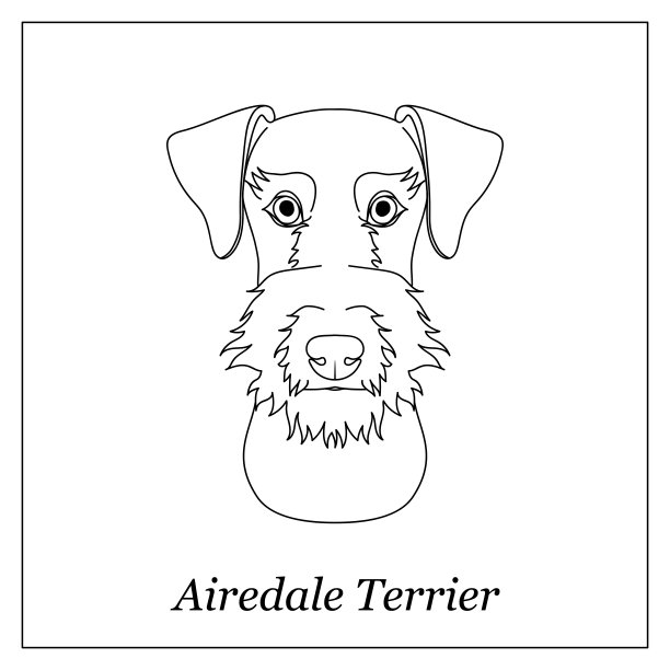 airedale
