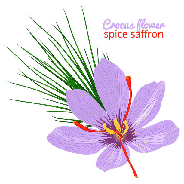 saffron