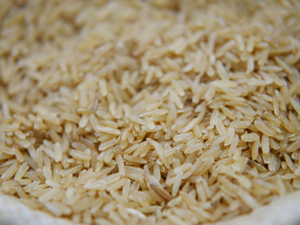 米饭,素食