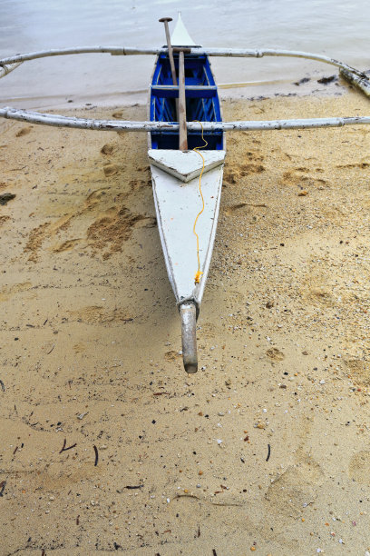 双桨式划水
