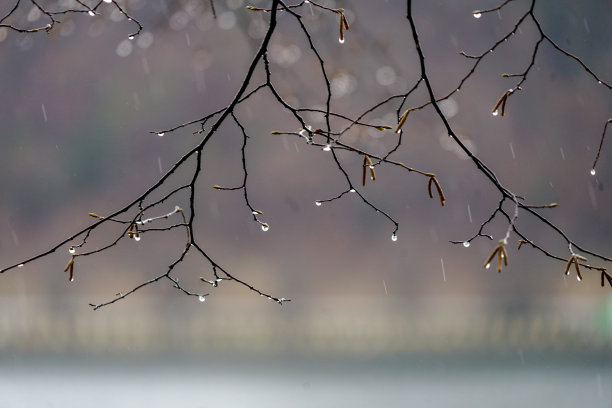 立冬大雪小寒雨水