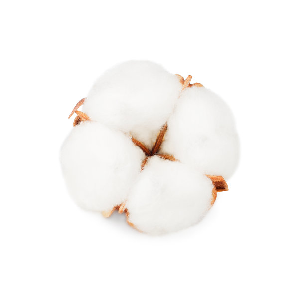 cotton