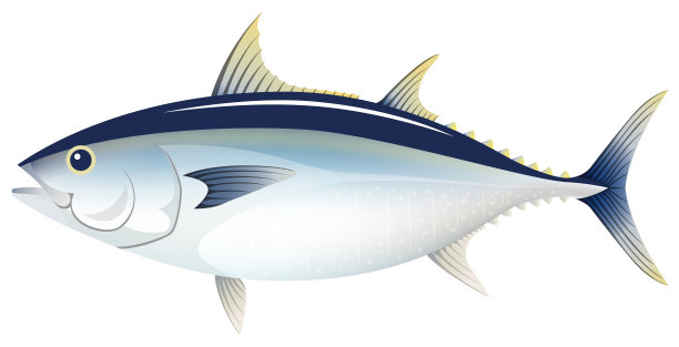 tuna