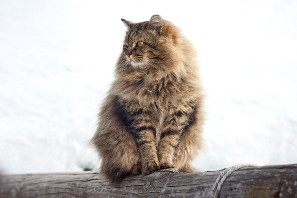 灰色系背景图片大全 灰色系背景设计素材 灰色系背景模板下载 灰色系背景图库 昵图网soso Nipic Com