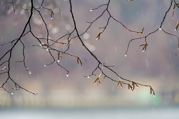 立冬大雪小寒雨水