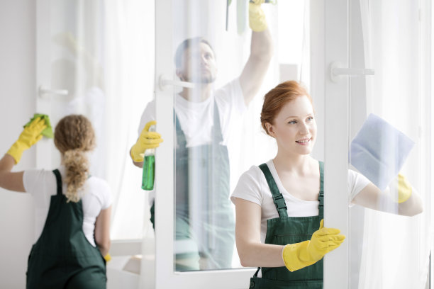cleaner