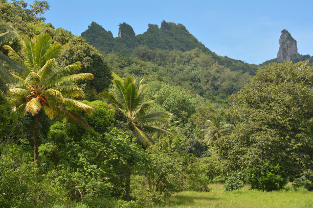 拉罗汤加岛