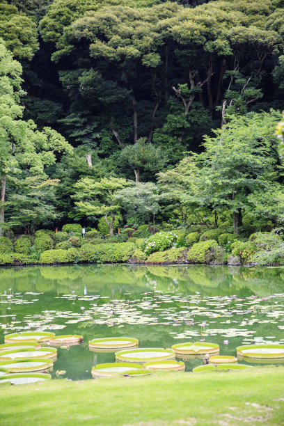 温泉湖泊池塘