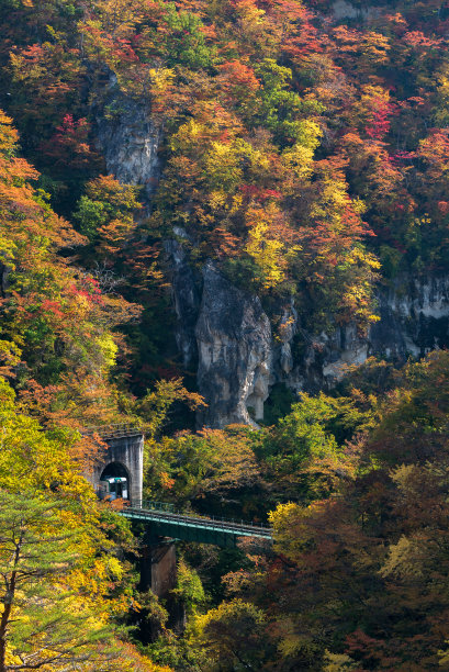 宫城县