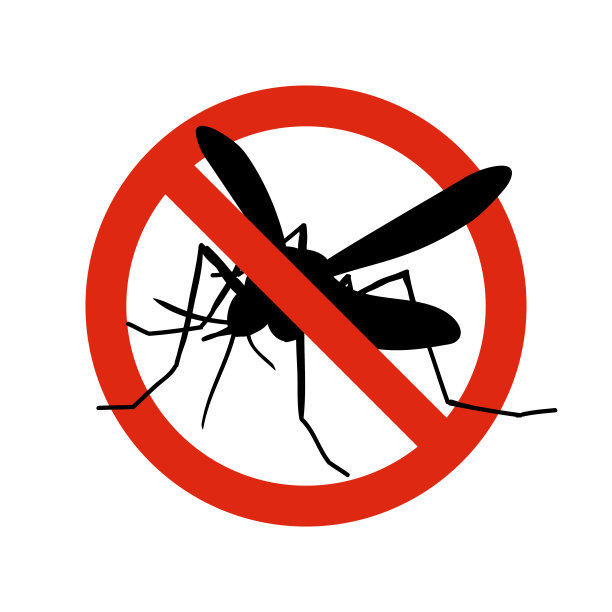 mosquito