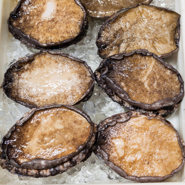 abalone