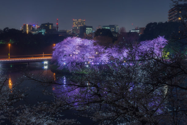 地形,户外,夜晚