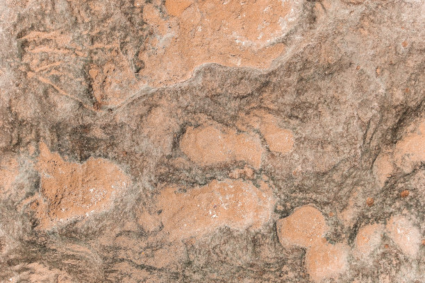 terrain