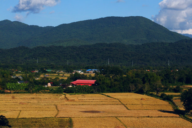 航拍稻田地