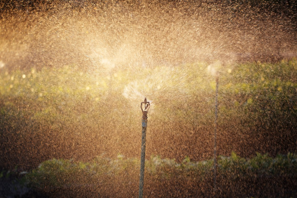 sprinkler