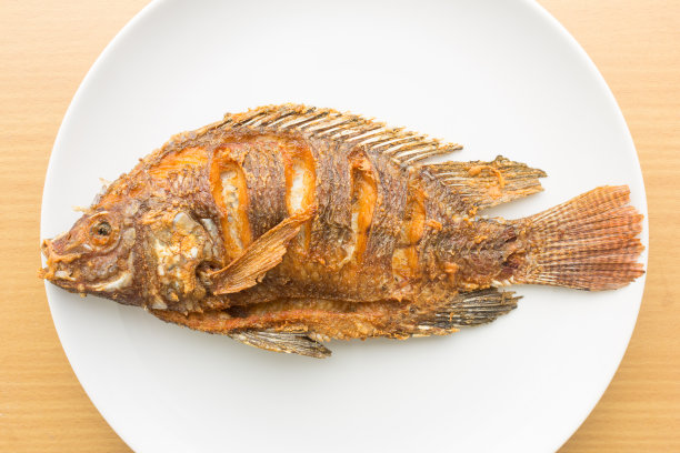 tilapia