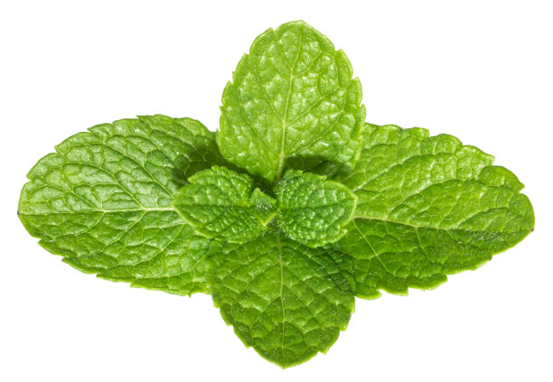 spearmint