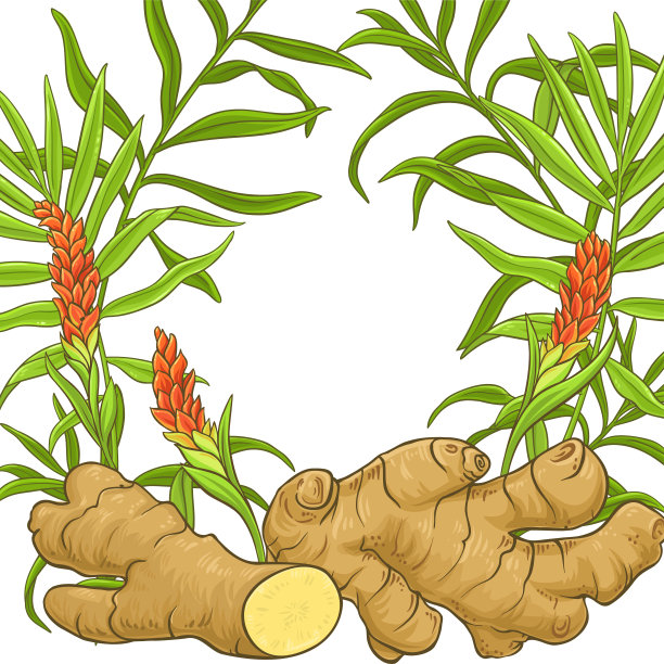ginger