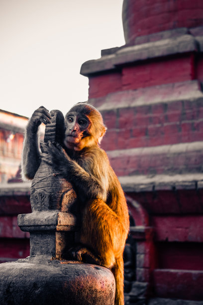 kathmandu