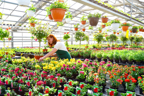 greenhouse