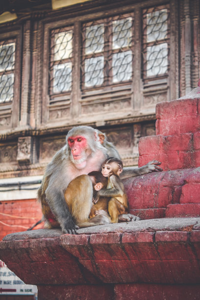kathmandu