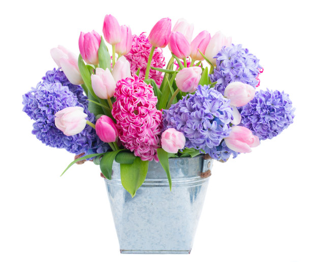 hyacinth