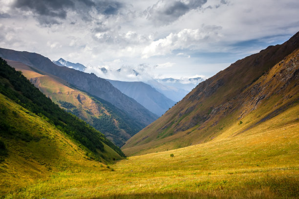 terrain