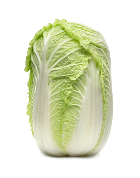 白菜