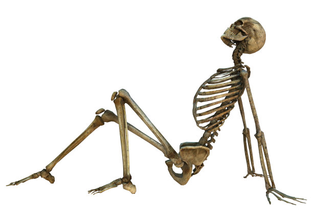 skeleton