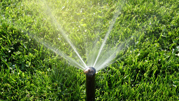 灌溉浇水