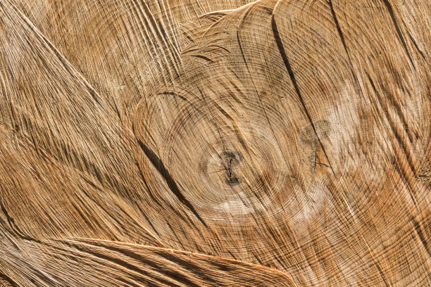 老木料木纹年轮背景素材