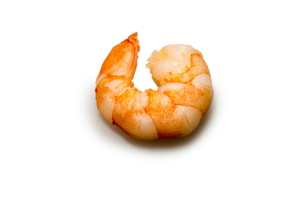 shrimp