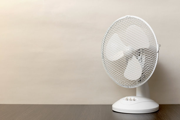 fan
