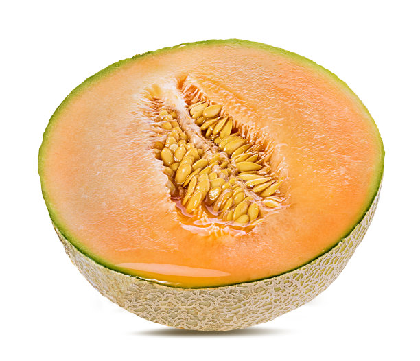 cantaloupe