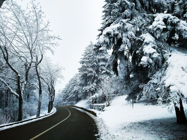 深雪