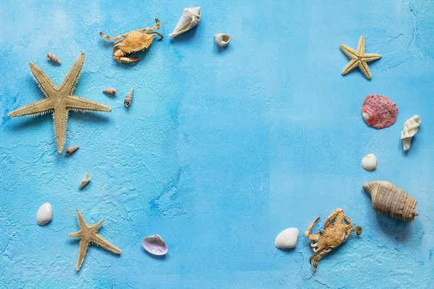 蓝色沙滩天空螃蟹大海