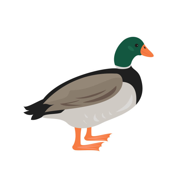 小鸭子logo