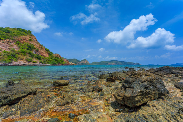 树林水景