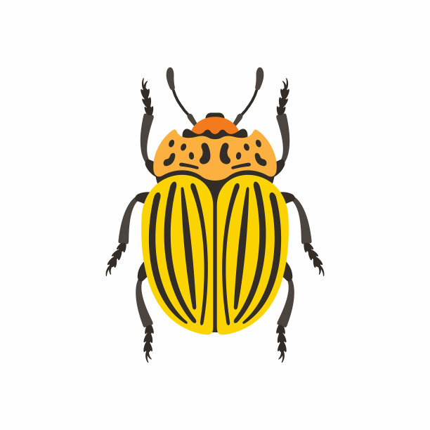 条纹甲虫