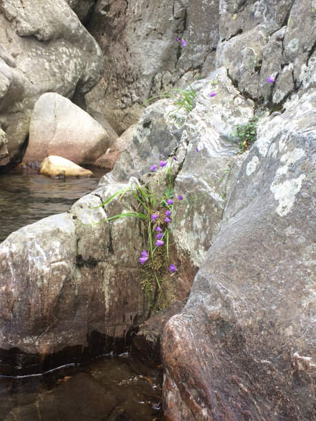 浅紫色石材