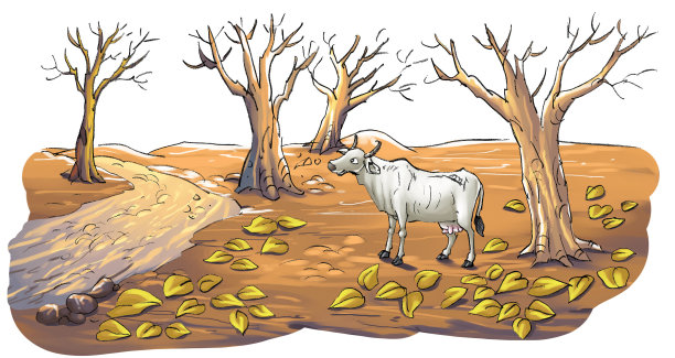 卡通藏羚羊